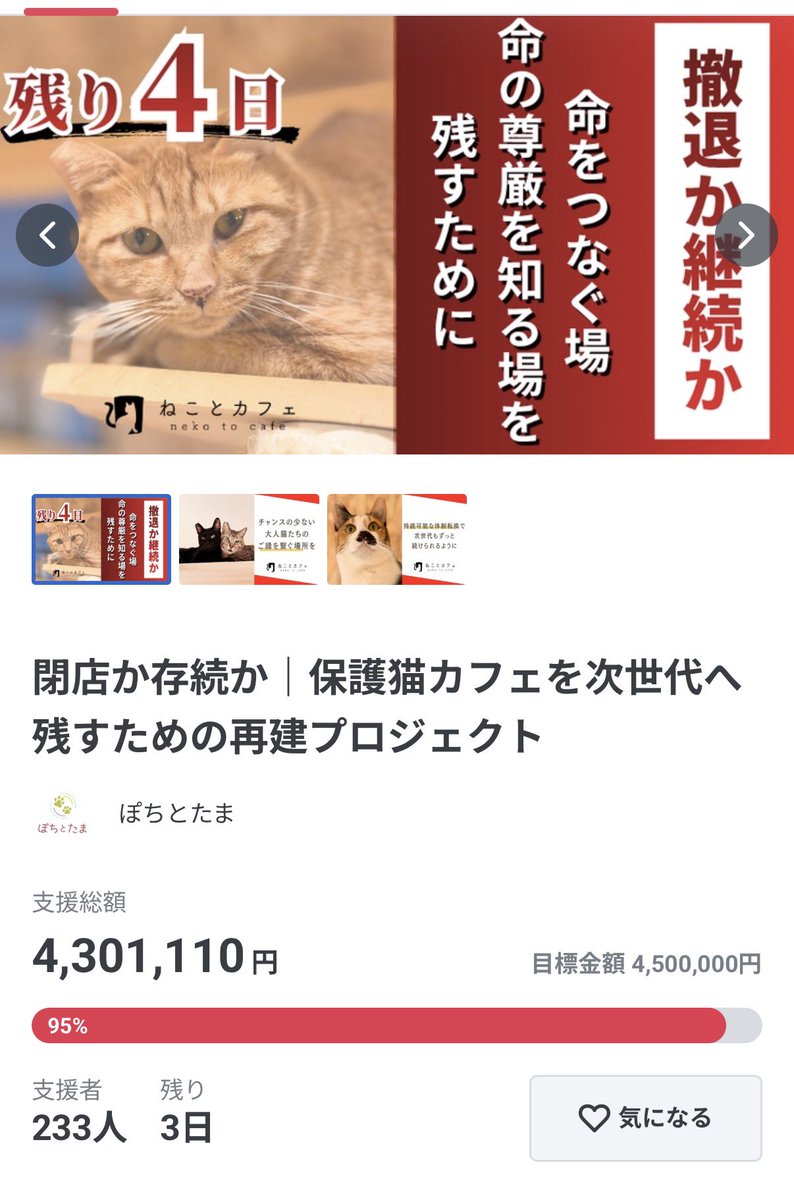 ハンドメイド ボタンの狼 里親 募集中 明日から里親募集をする子達です