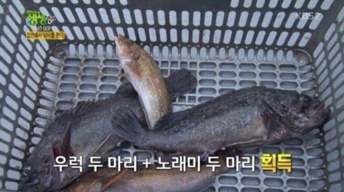 이씨네 tweet media