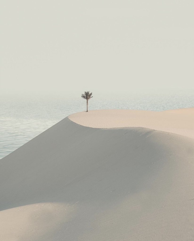 aseelswaid9's tweet photo. The desert of Egypt https://t.co/WlH6ktHX3Z