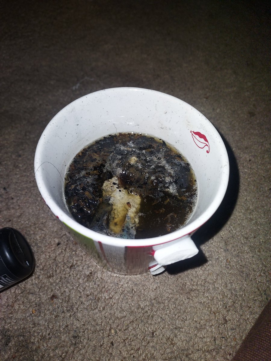 Honourosis's tweet photo. Threw away my smelly black sludge that I put misc drinks and ashes in RIP https://t.co/4qFD50JNzm
