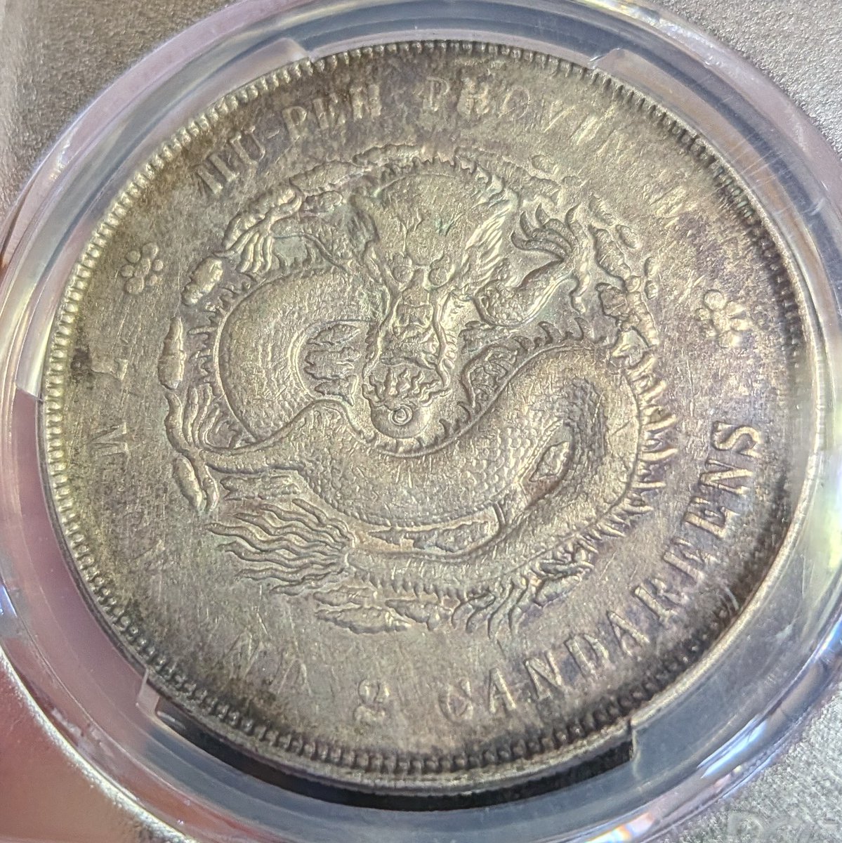 ドラゴンズ🐲🐉🐉
