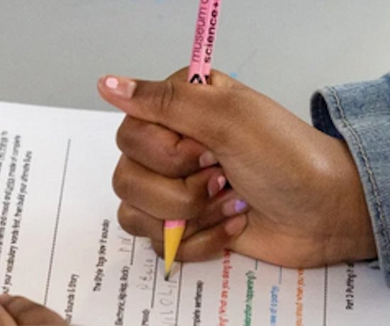 LegendaryDama's tweet photo. @Suntimes Maybe before jumping to AI they should teach the students to hold a pencil properly. https://t.co/lPYI2ekGUA