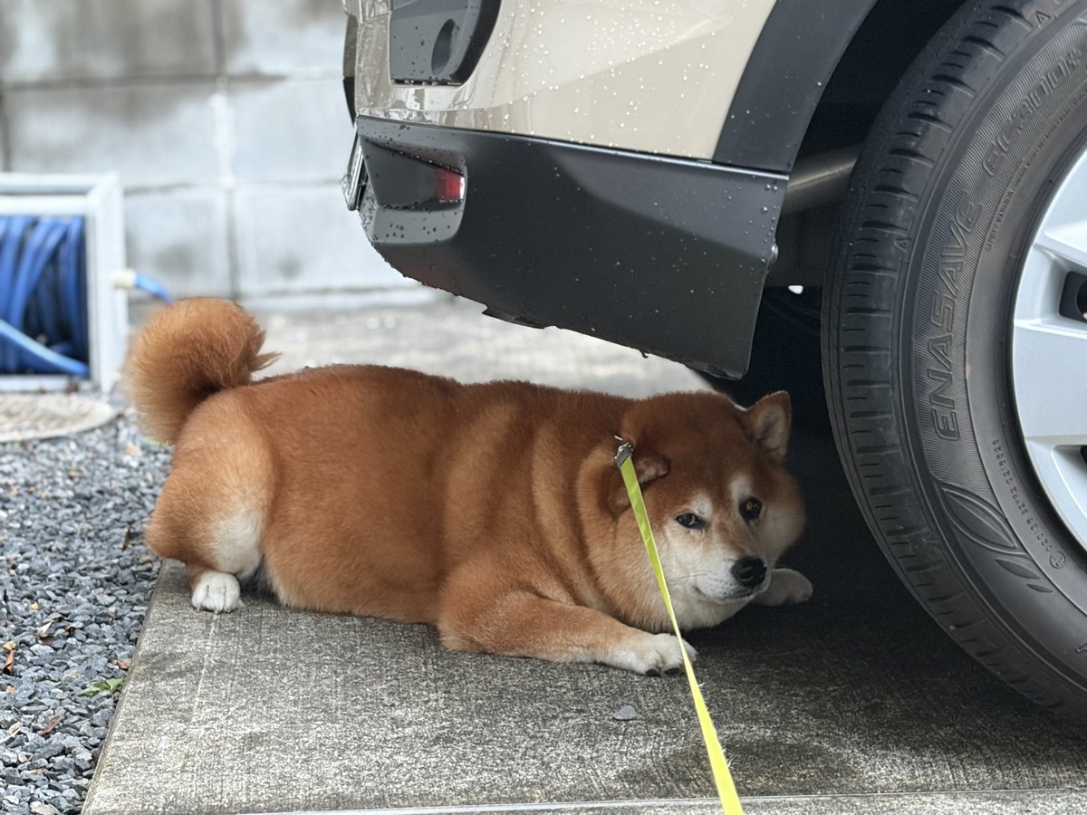 kumakichi_tech's tweet photo. ワイが車検したる。 https://t.co/NakxkLRwjC