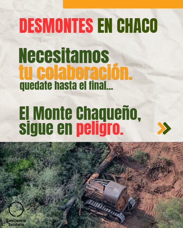 ConSol_ONG's tweet photo. Luego de años de trabajo sostenido, y una acción de inconstitucionalidad, contra la regresiva Ley de OTBN, que no protege al monte nativo, la Justicia invalida nuestro pedido y nos impone pagar las altísimas costas del juicio. 

🫱🏼‍🫲🏼HOY TE NECESITAMOS.

#MonteChaqueño
#Chaco https://t.co/cq1WXxuLdy