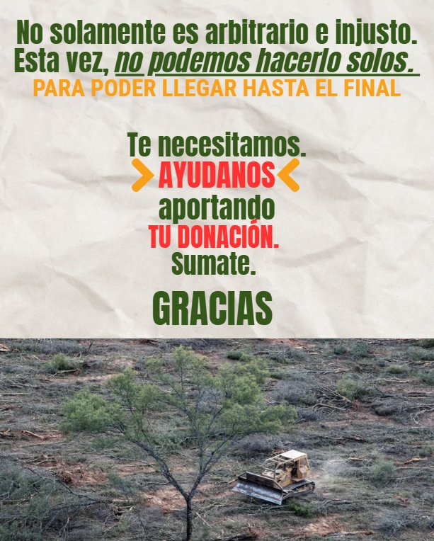 ConSol_ONG's tweet photo. Luego de años de trabajo sostenido, y una acción de inconstitucionalidad, contra la regresiva Ley de OTBN, que no protege al monte nativo, la Justicia invalida nuestro pedido y nos impone pagar las altísimas costas del juicio. 

🫱🏼‍🫲🏼HOY TE NECESITAMOS.

#MonteChaqueño
#Chaco https://t.co/cq1WXxuLdy