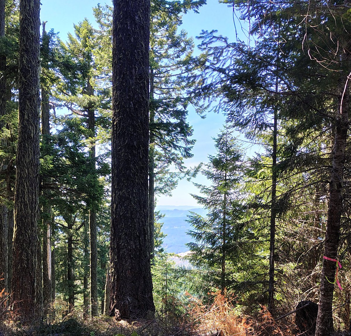 0Fedbear2's tweet photo. https://t.co/vSd94v9VzX