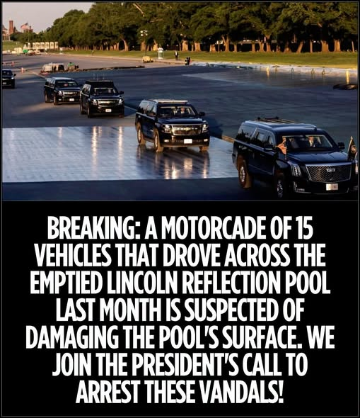 French_One's tweet photo. @WhiteHouse May 8: Trump went on unannounced trip to see Reflecting Pool after he had it coated in a color he calls "American flag blue."
He did more than just see it - [Trump] was driven across new coating before he got out of his SUV to make a statement and answer questions from reporters. https://t.co/bQMcbrwW5k
