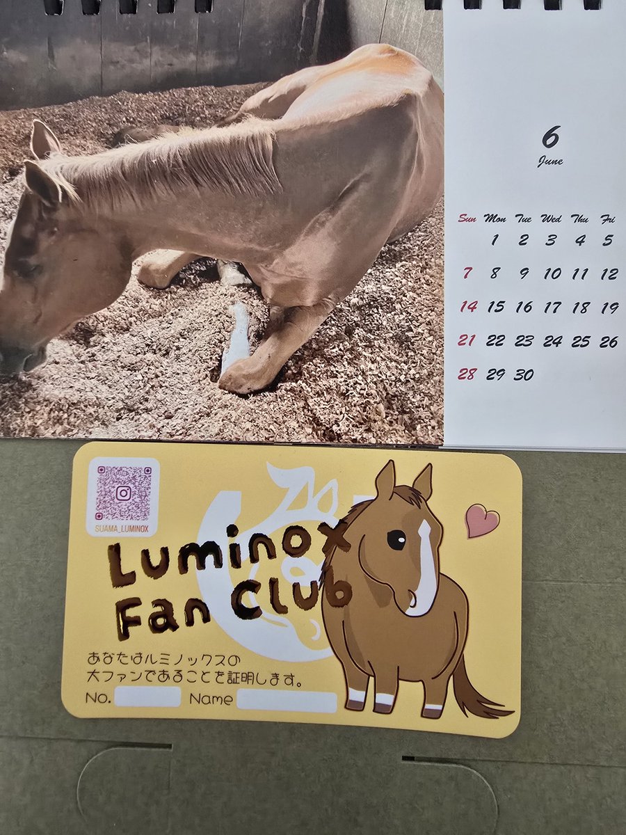 FsteakB's tweet photo. @jvLVe1HRZDFTYu1 Dear Lumipon, please keep on being handsome and adorable. Remember to eat lots of carrots! And please keep posting pictures and videos because it always makes my day seeing you! 

#ルミぽんオンラインファンミ https://t.co/HQFAl8XuFS