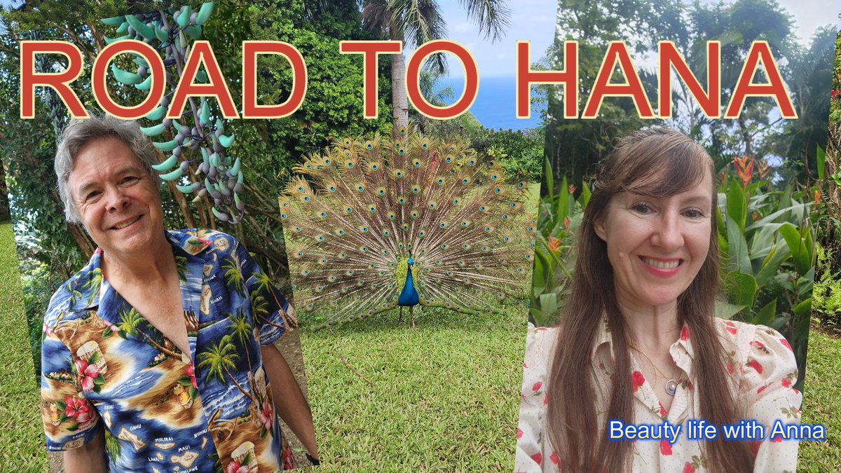 BeautylifewithA's tweet photo. Road to Hana Best Stops For a One Day Drive https://t.co/arEqBw4ajE via @YouTube 
Hello my Dear Viewers! This is Beauty life with Anna. In this video we will explore the Road to Hana. It is a long drive, so don't feel rushed, but choose  places which suit your interests most. https://t.co/Fr7tIylmY6