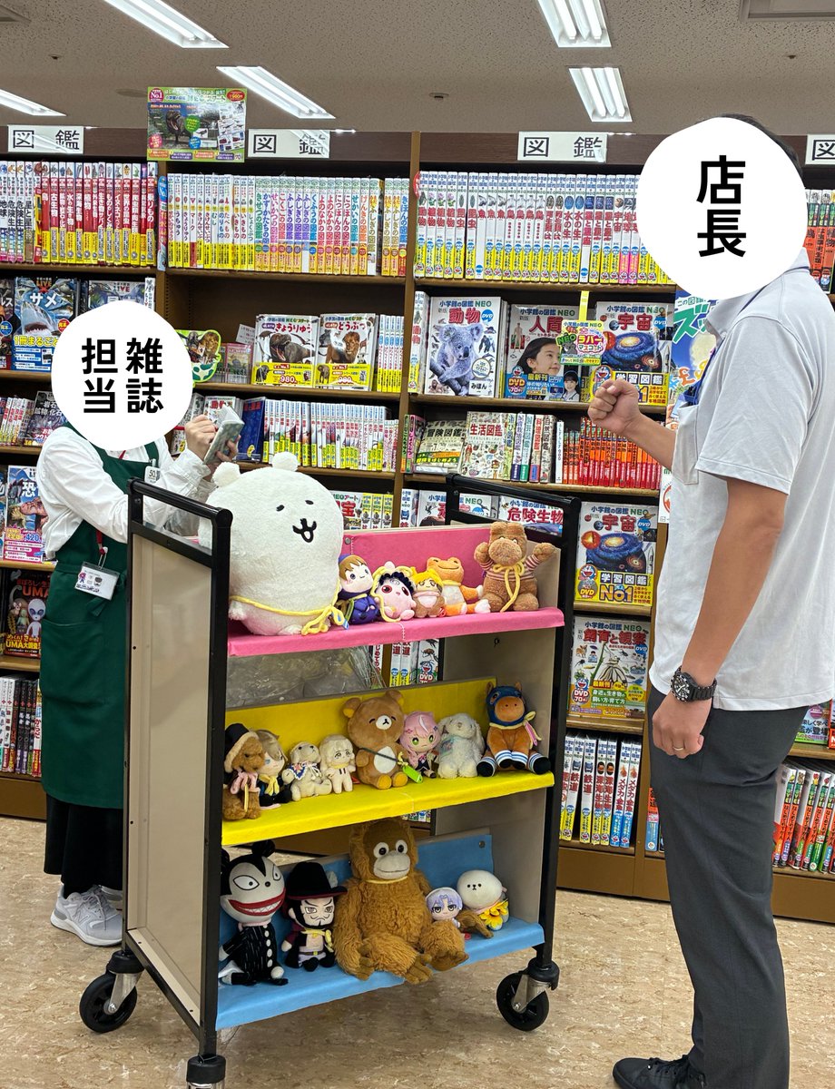 josakabungei's tweet photo. 「おはようございます！」ご挨拶から朝礼が始まりました。店長からおとまり会の流れについてお話を聴きます……本屋さんでおとまりってどんな感じなんだろう？ みんなと仲良くなれるかな？ どきどきわくわくに溢れるおとまり会、スタートです✨️ #ミッドナイトジュンクラブ #ぬいぐるみおとまり会 https://t.co/e1lGZJYOcE