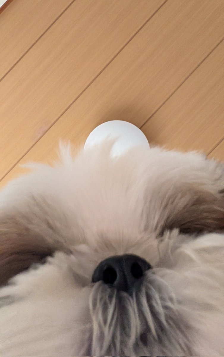 zushisyama's tweet photo. ズシ、バズりポストだよ
バズりポスト、ズシだよ https://t.co/8NPHhoDFEU