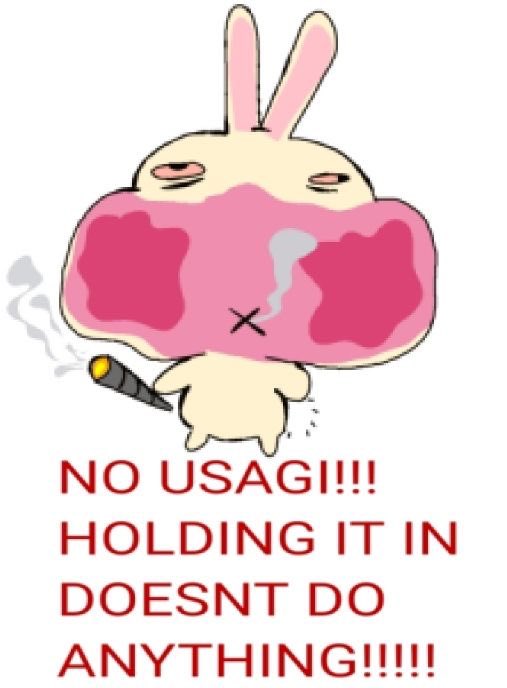 usagidarabbit's tweet photo. https://t.co/OtQYbKuj7H