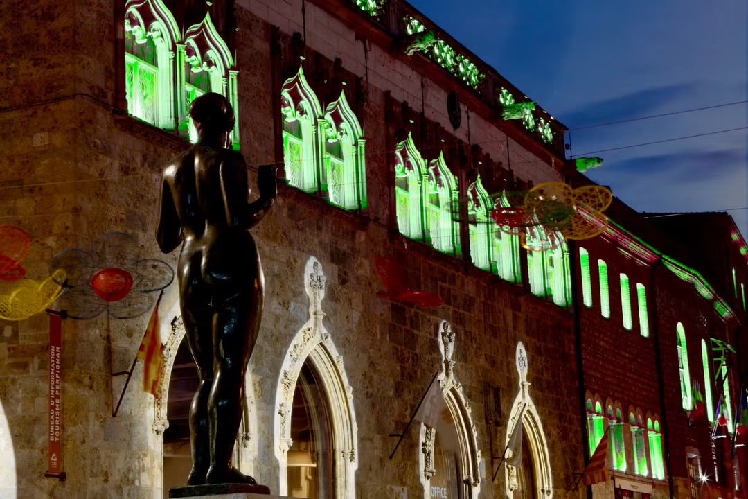 CatherinePUJOL1's tweet photo. #Perpignan se pare de vert pour la Journée nationale de réflexion sur le #don d’organes et de #greffes afin de sensibiliser la population 💚🩺💚 https://t.co/44TuGN5yKQ