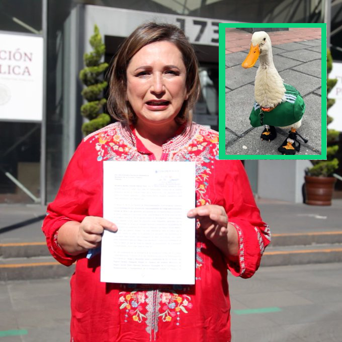 rand0m3e1's tweet photo. Xóchitl Gálvez denuncia ante la FGR al Pato Merlín por vínculos con el narco. https://t.co/EjZYi2ZsSj