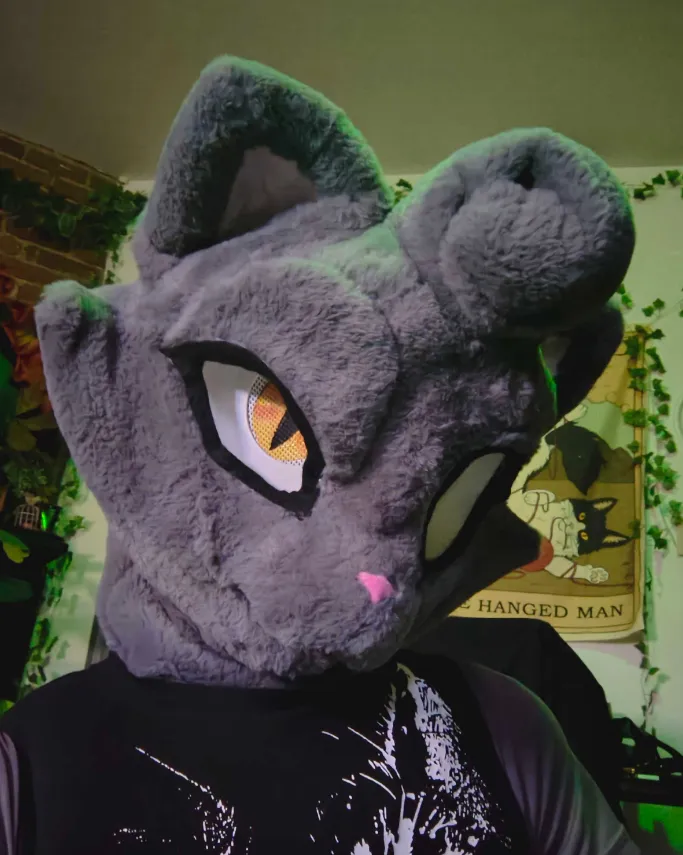HypnoCatto's tweet photo. Your Master would like a word with you. 🧡 https://t.co/OuFzw5xE1U