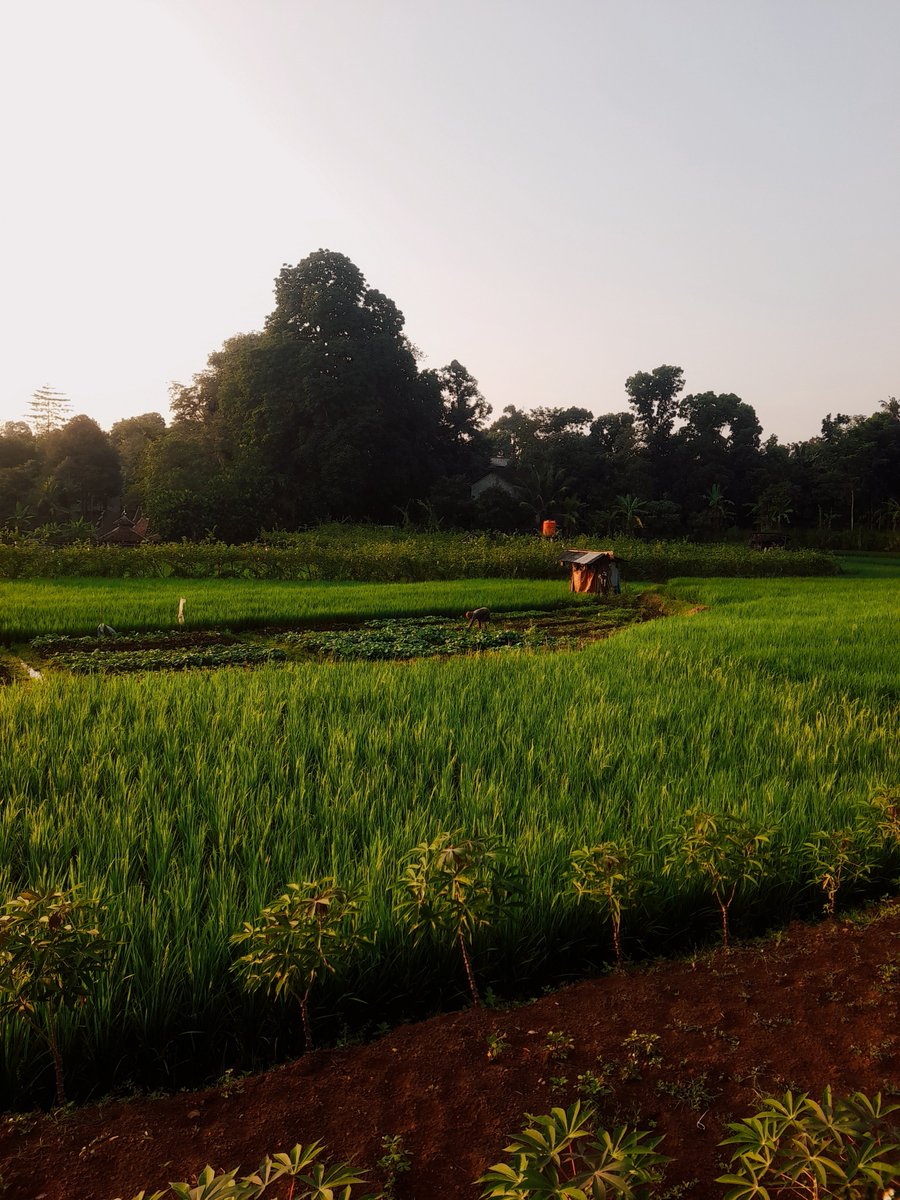 eranitagtt's tweet photo. Selamat pagi, dari Semarang atas💛 https://t.co/mDWMWzah42