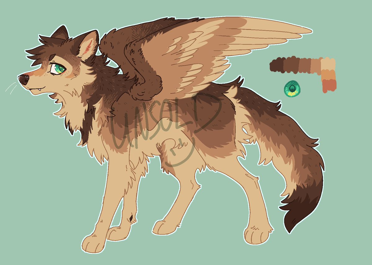Starreseyer's tweet photo. got a cute wolf looking for a home. looking for 40 :3 https://t.co/tOjW4VQQYE
