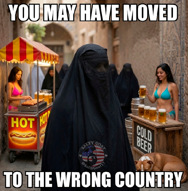 SaltyGoat17's tweet photo. If you said yes to NOT eaing  pork, drinking alcohol, liking dogs as family pets....

If you're against bikinis, Jesus and freedom of speech

YOU'RE IN THE WRONG F*CKING COUNTRY!

GO TF HOME!!

If this post pisses you off IT'S MEANT FOR YOU!!! https://t.co/EcCWMaiMWM