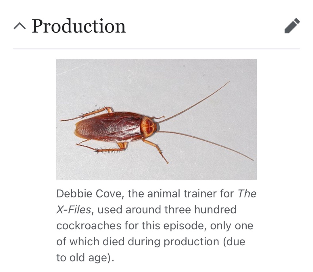 greatestbkfacts's tweet photo. https://t.co/dNjhaxN9Bf