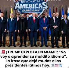 Yop tweet media