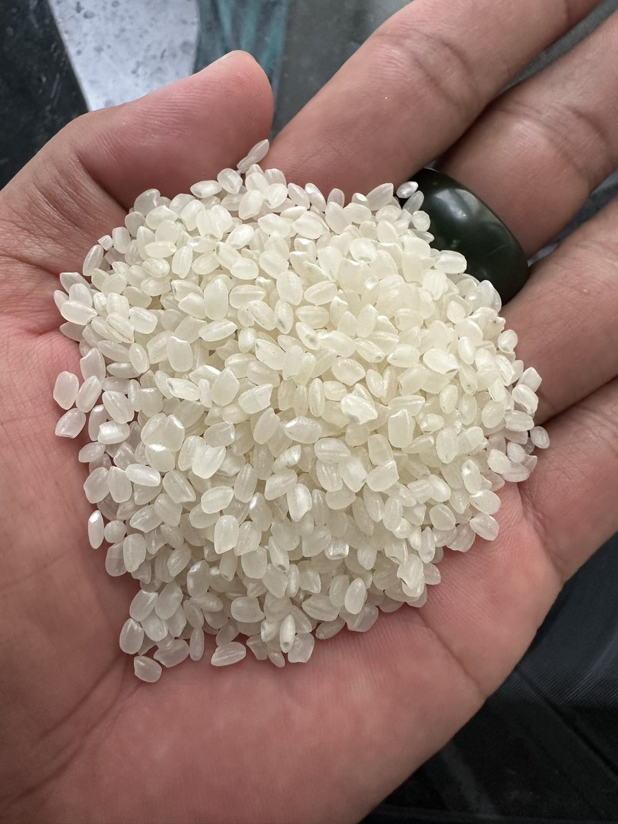 Canthofood's tweet photo. Export Japonica Rice Made In Viet Nam https://t.co/5cFn0QQh2F