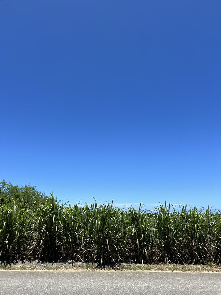 makabechinaa's tweet photo. おはようございます
本日も11時より営業いたします。
今日は慰霊の日。糸満方面は混雑が予想されますのでご注意ください。
この家を戦火から守り、そして私たちに命を繋いでくれた先祖に感謝しつつ平和を祈ります。 https://t.co/qEYJM9N0mc