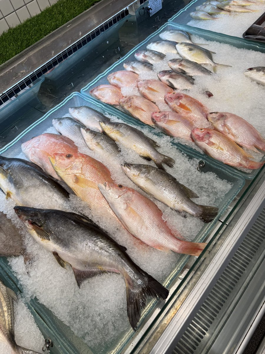 Takeyoidore's tweet photo. マレーシアの鮮魚コーナー
買ったことはない https://t.co/V81UIoHSDk