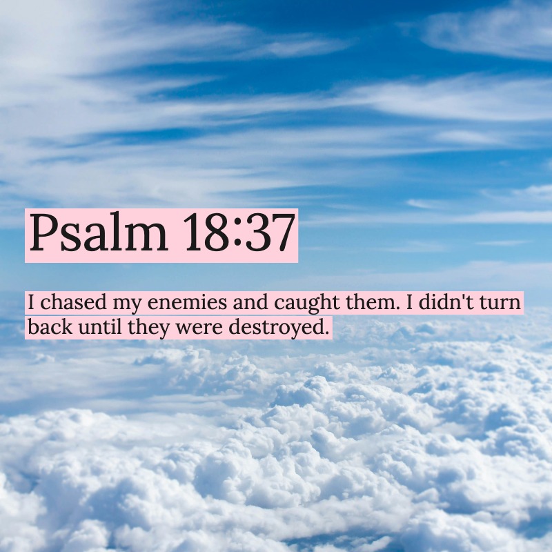 DivineProverbs's tweet photo. https://t.co/cdHlreliV8