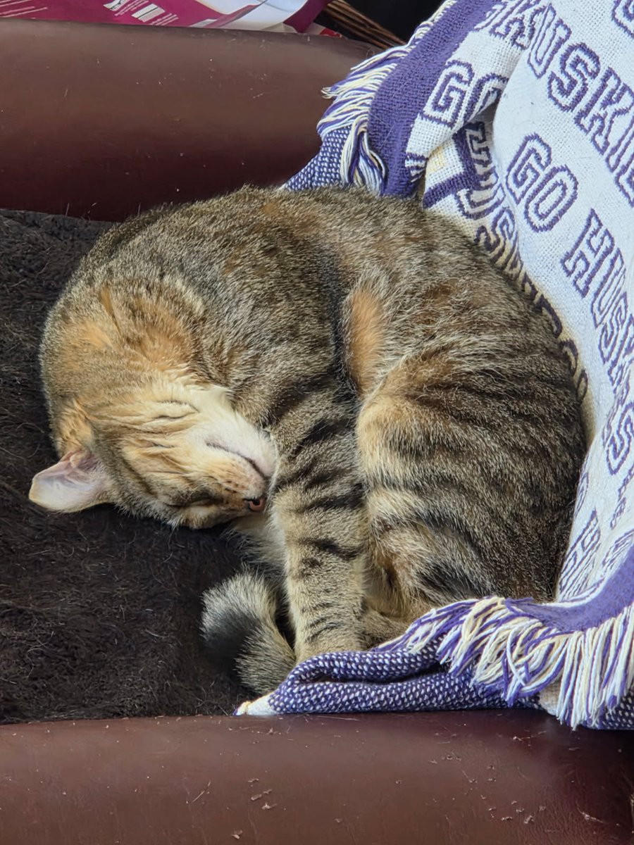 rust454's tweet photo. #WeeklyLilyPics it's still the weekend I swear https://t.co/zFnMUawCLJ