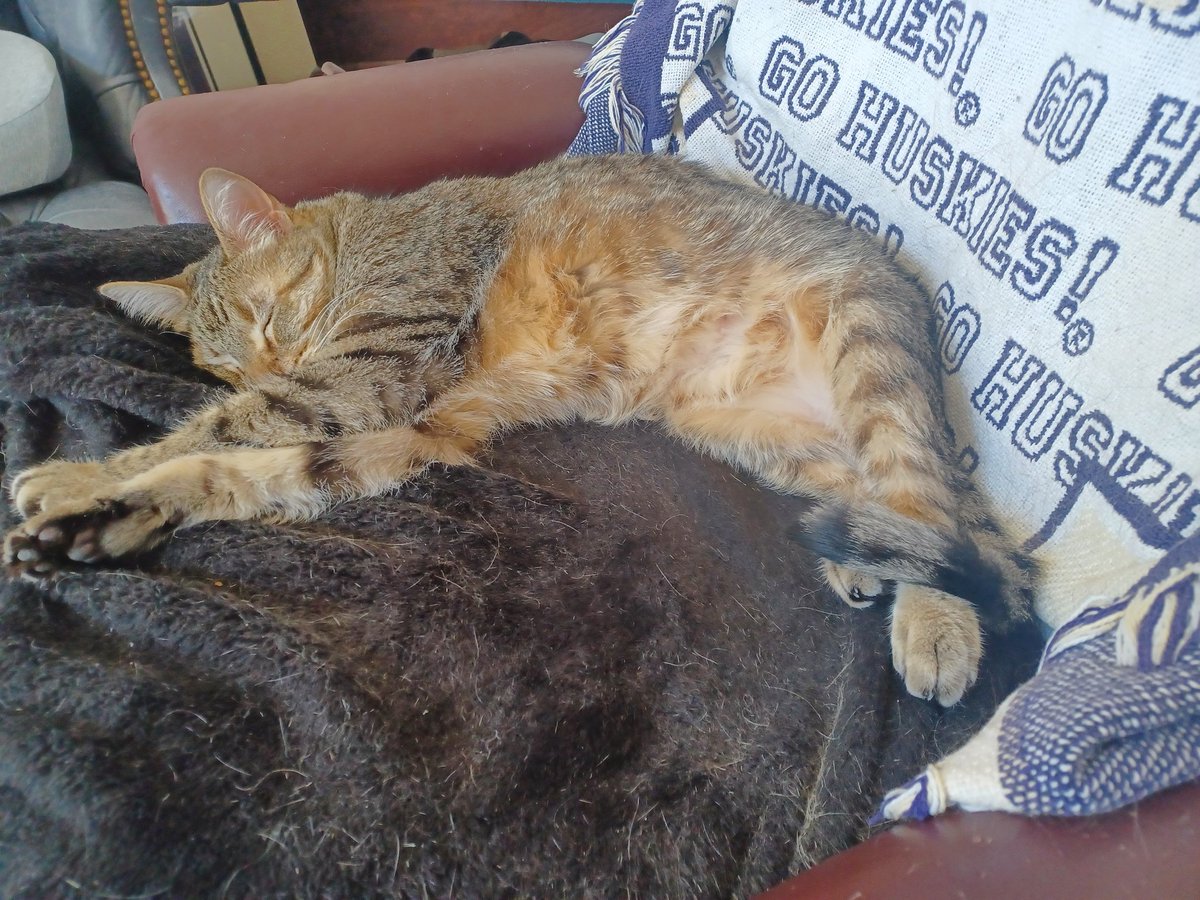 rust454's tweet photo. #WeeklyLilyPics it's still the weekend I swear https://t.co/zFnMUawCLJ
