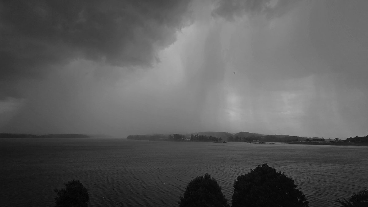 RandyPless's tweet photo. A gray curtain of rain this afternoon over #DoulasLake in #DandridgeTN. @lucky13wxman https://t.co/AtG9BWD0hz