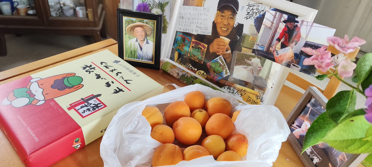 jishuren_iwaki's tweet photo. 【福島自主練 #生木葉ファーム 】
平日の自主練ですが、群馬の幡再生が長野からのお裾分けを持参して参加してくれました。

まるまるとしたあんず。
まるごといただくのはみんな初めてで、美味しさに感動✨️

作業はねぎの草引き。

おかあさんは畝を立てます。
#幡再 https://t.co/pfkqGgUNWT