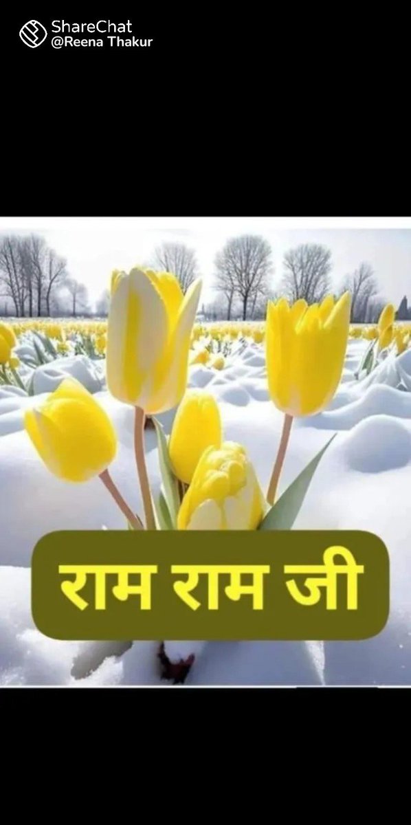 somaniR2's tweet photo. 🙏🙏🌸🌸राम राम जी राम राम सा 🌹सुप्रभात 🌸🙏🙏 https://t.co/qUJF6sBeAH