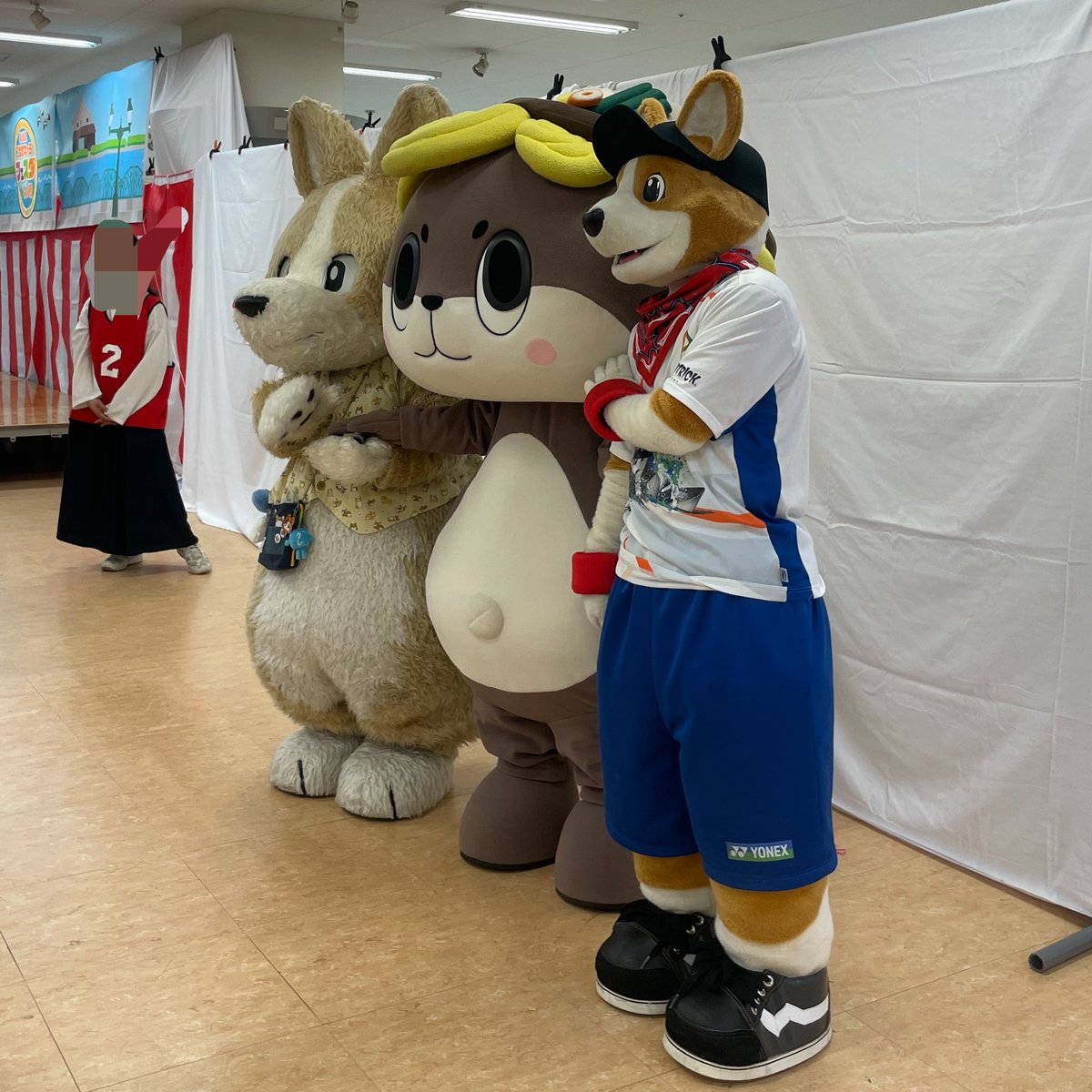 コギ坊 tweet media