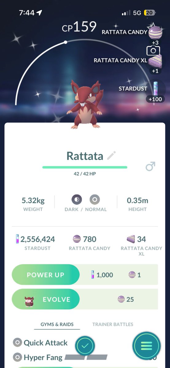 littlelushholic's tweet photo. Another shiny catch tonight ✨✨✨🐀🐀🐀 #pokemongo #gottacatchthemall #shiny https://t.co/haz3UWTi9U