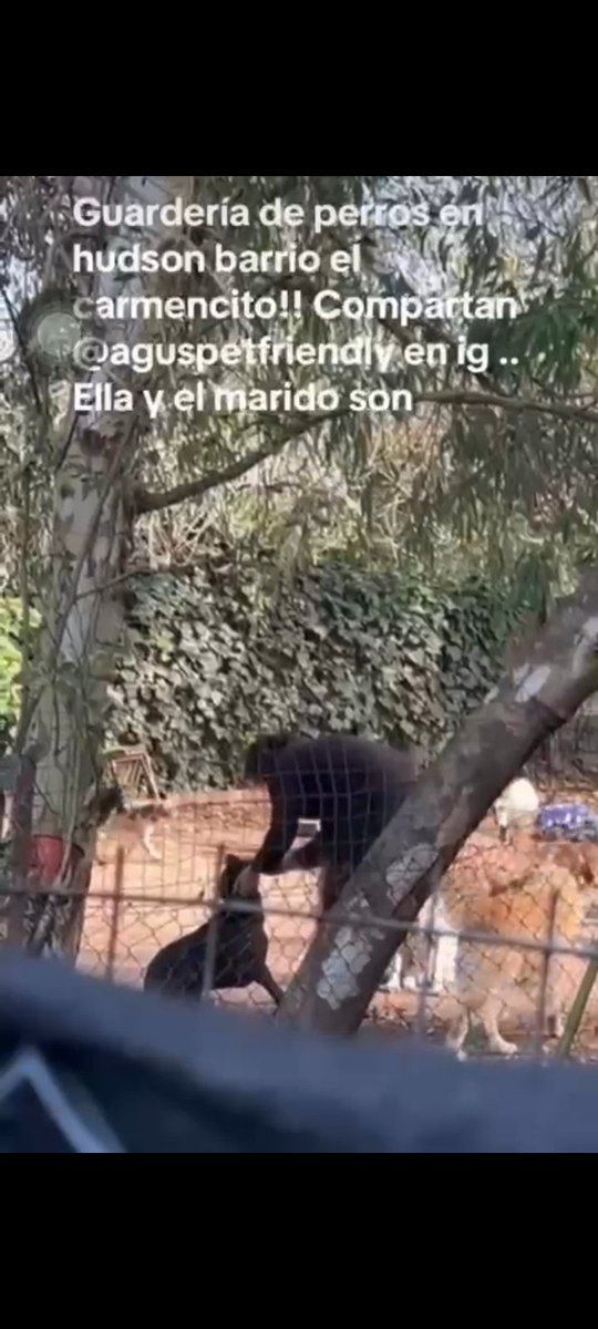 RaquelMait's tweet photo. Atencion Hudson  no lleven a sus perritos a esta pensión, les pegan. Se llama AGUSPETFRENDLY. Se borraron de Instagram. DIF.
@protegealanimal 
@polaco_adrian 
@CapettiniRaquel 
@patripveron 
@SilvanaGiudici 
@Tabyta201 
@amoperrosygatos 
@grace_luca 
@Bichuok1 
@patri_carolyn https://t.co/vC5coCzvhj