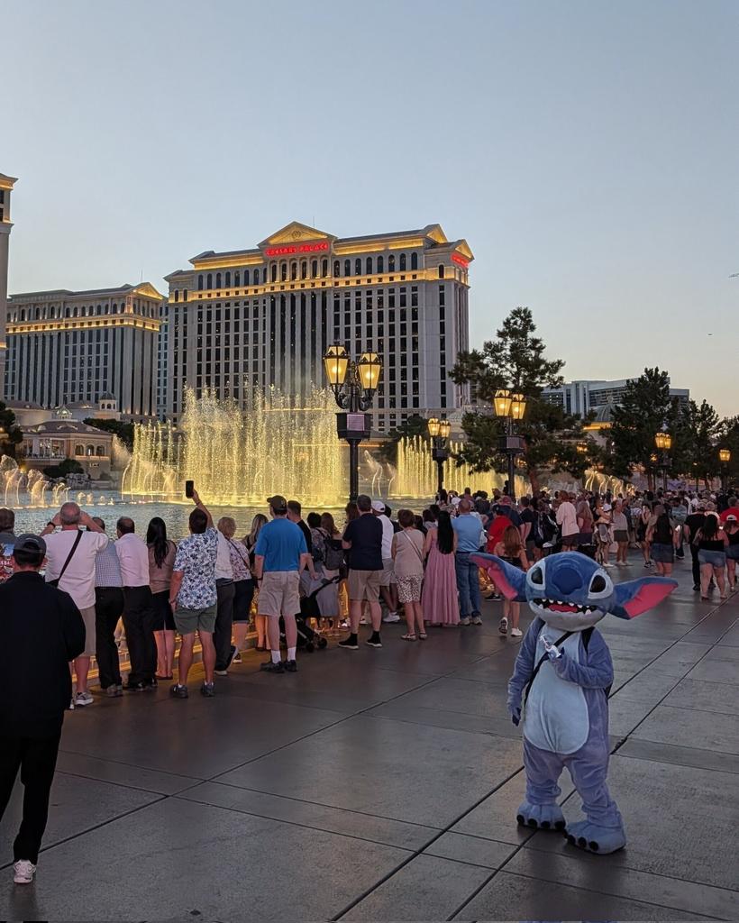 Las Vegas Locally 🌴 tweet media