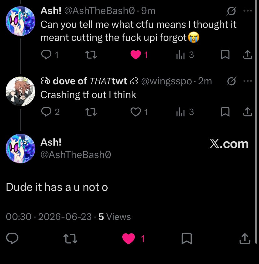 ꒰ঌ dove of 𝘛𝘏𝘈𝘛twt ໒꒱ tweet media