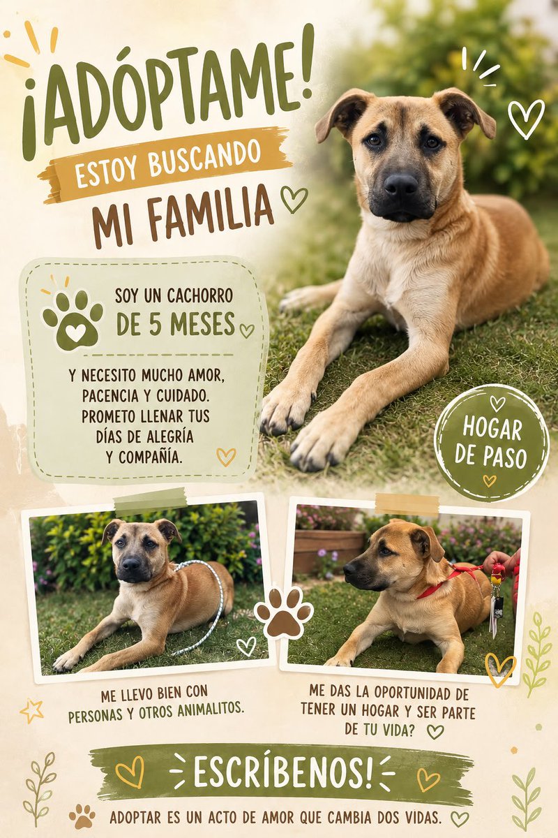 krechimbahpta's tweet photo. Gente, help con difundir a este bebé. Lo encontramos en Bogotá por la estación de Transmi de AV El Dorado. https://t.co/AMi74VAnTq