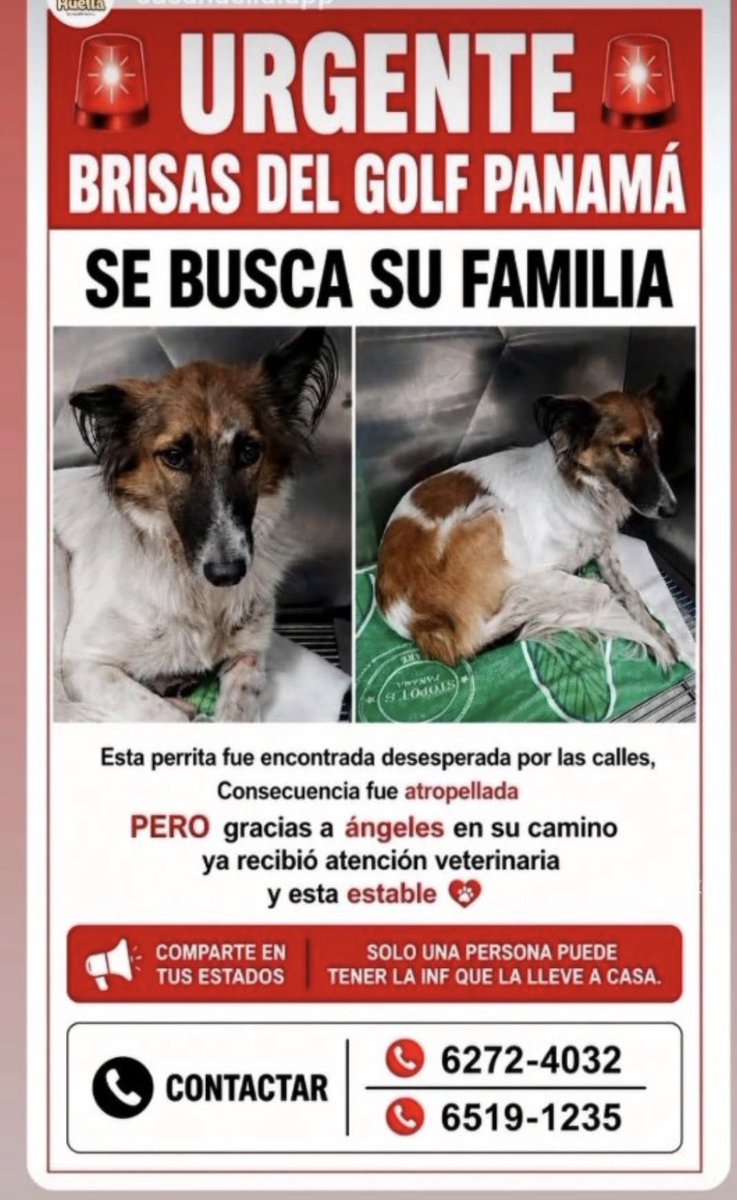 ivetteodalys's tweet photo. POR FAVOR , AYUDEMOS COMPARTIENDO ESTE MENSAJE⬇️⬇️⬇️🙏🏽🙏🏽🙏🏽 https://t.co/tW2cGvVcDa