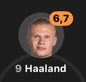 not so hourly haaland 𐙚 tweet media