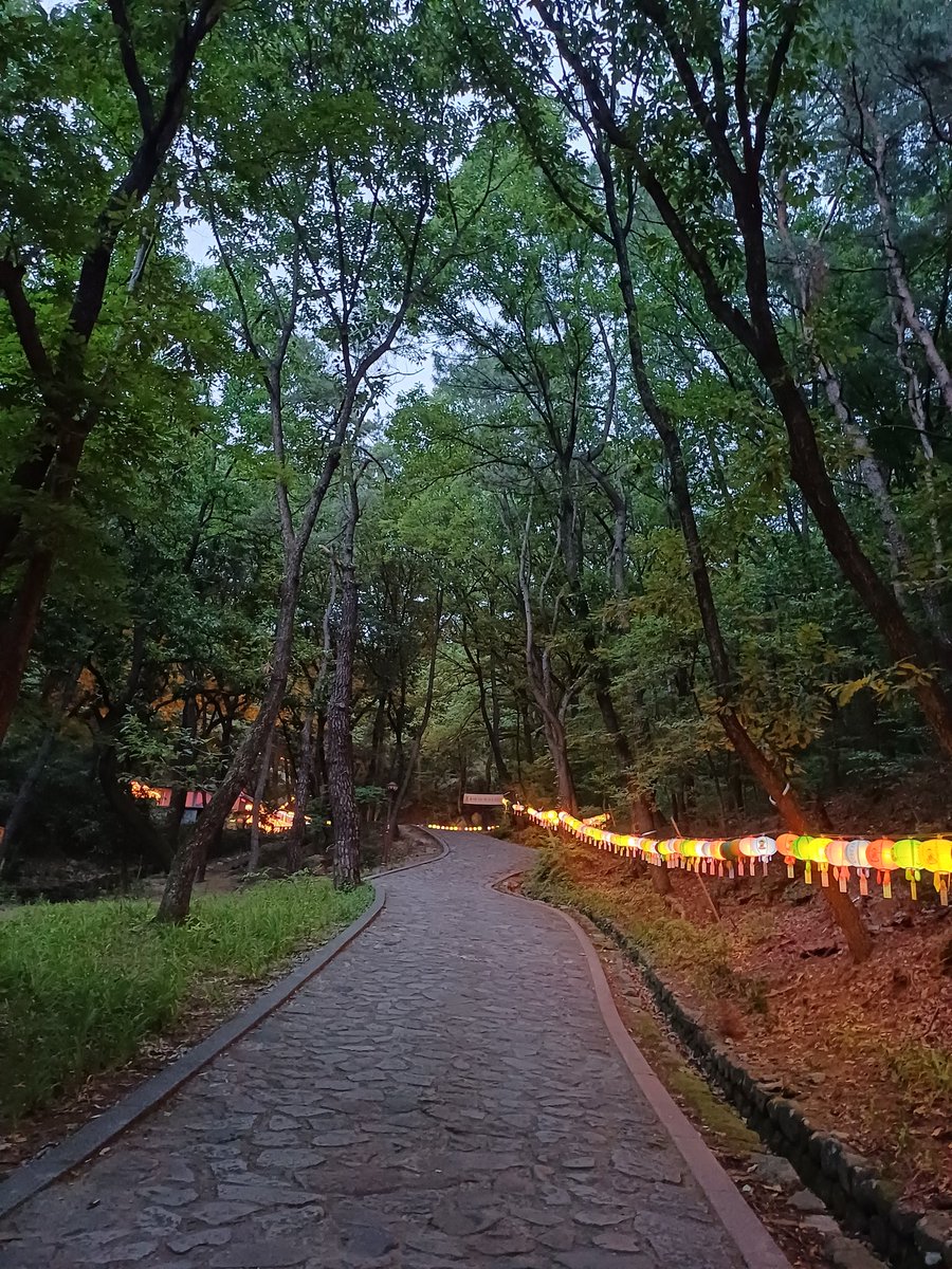ipleiades's tweet photo. 어제 저녁 산책길 굴불사지 석불상 입구. 연등이 아직남았네.. https://t.co/ycvTdh0OwQ