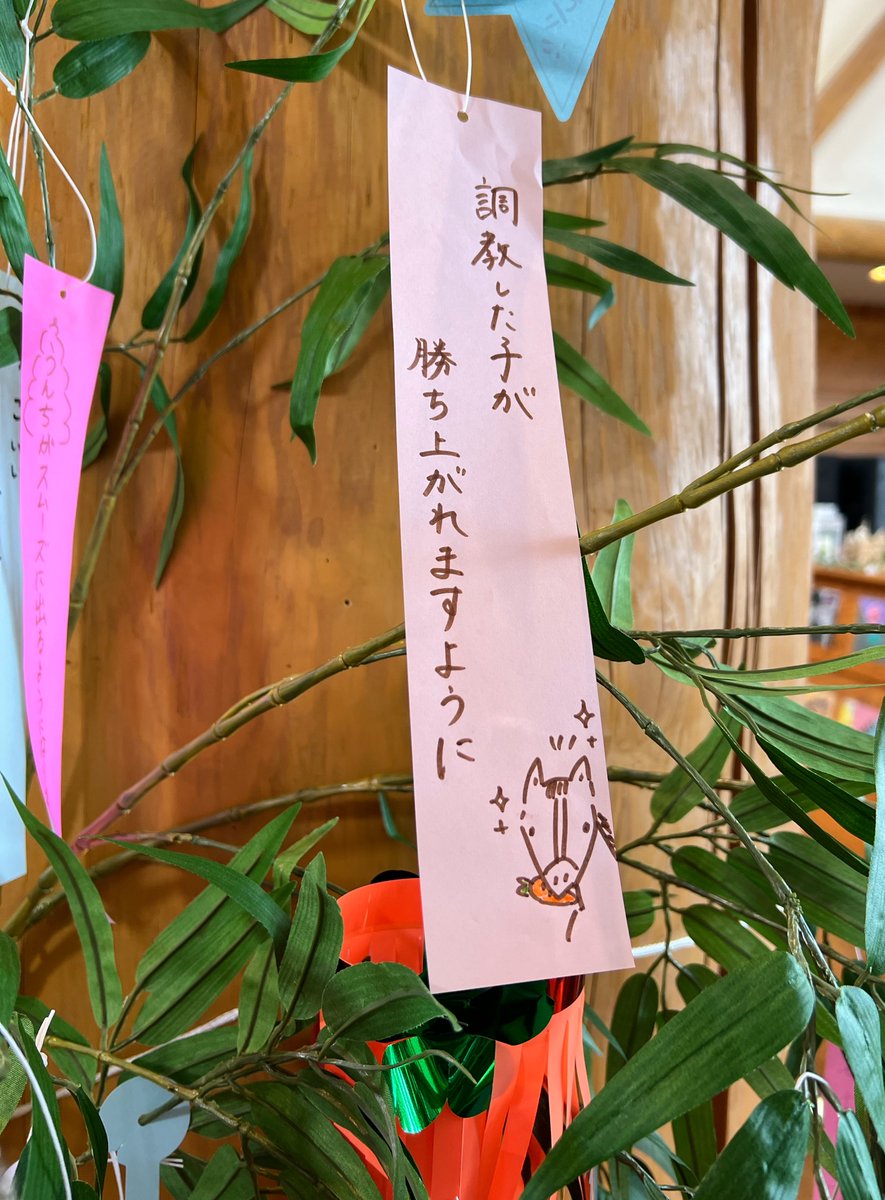 すず tweet media
