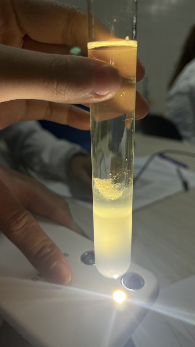 gowonrisonha's tweet photo. @studynahh Que meigo, a minha está parecida kkk (vida de estudante https://t.co/zXEnbK89Go