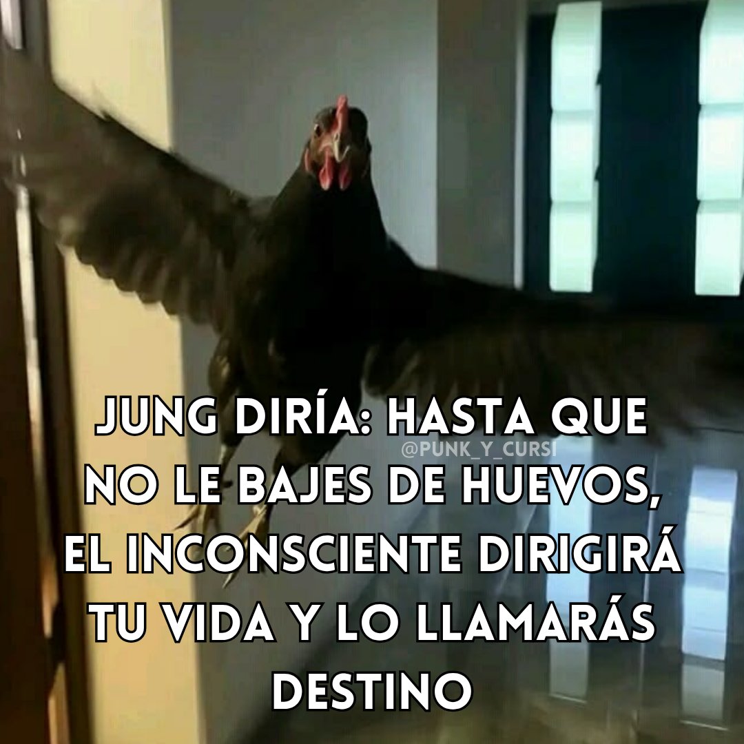 punk_y_cursi's tweet photo. 🐦‍🔥🐦‍🔥🐦‍🔥🐦‍🔥 https://t.co/hG2iLRY8m2
