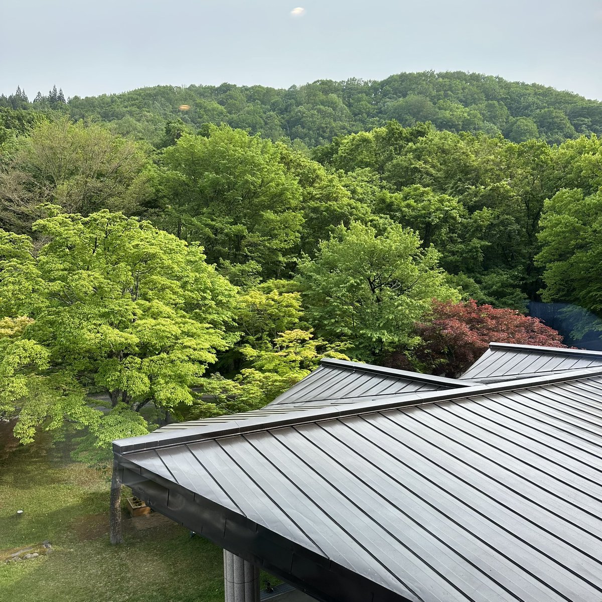 simoncpitt's tweet photo. The perfect finale to our road trip: a night at the Oirase Keiryu Hotel. After checking in, we took in Taro Okamoto’s legendary, towering fireplaces. With dinner at the Ringo Kitchen, welcomed by a sea of glass apples. #latergram #oirasekeiryuhotel #aomori #tohoku #tarookamoto https://t.co/3CRxKehVun