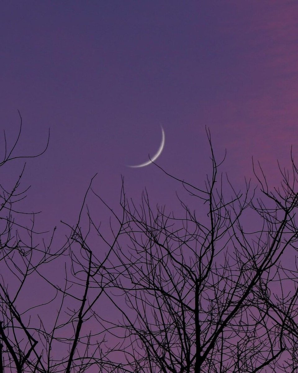 aestheticspost_'s tweet photo. 🌙 https://t.co/THnzOQNl00