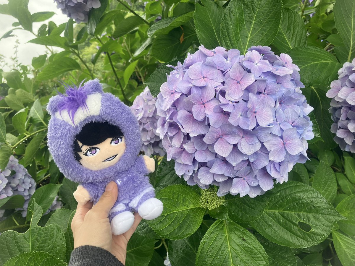 0214Miitan's tweet photo. 雨女発揮！ここ来るん何年ぶりやろー。
今から山登り頑張る！ https://t.co/m05A6lLR67