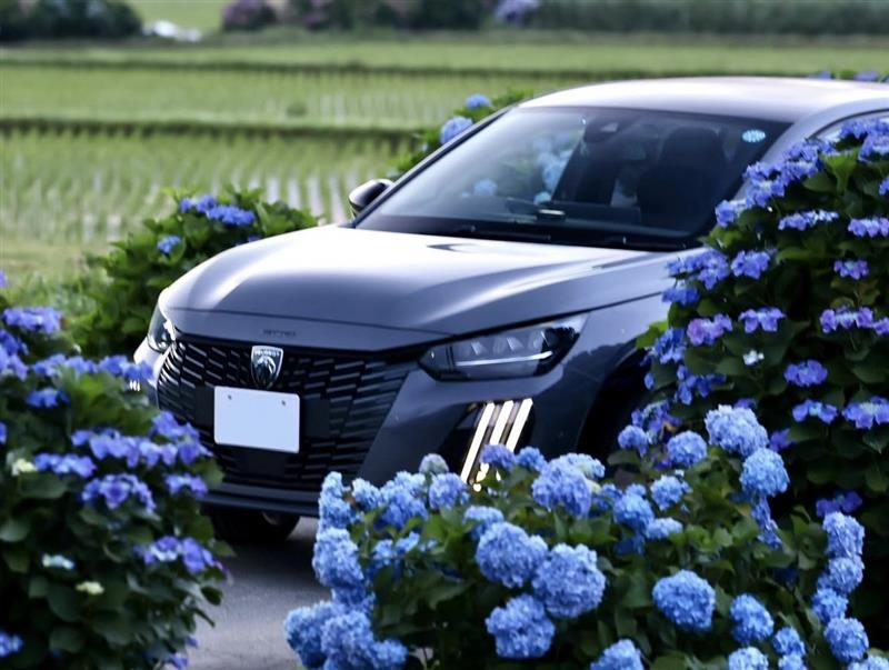 peugeot