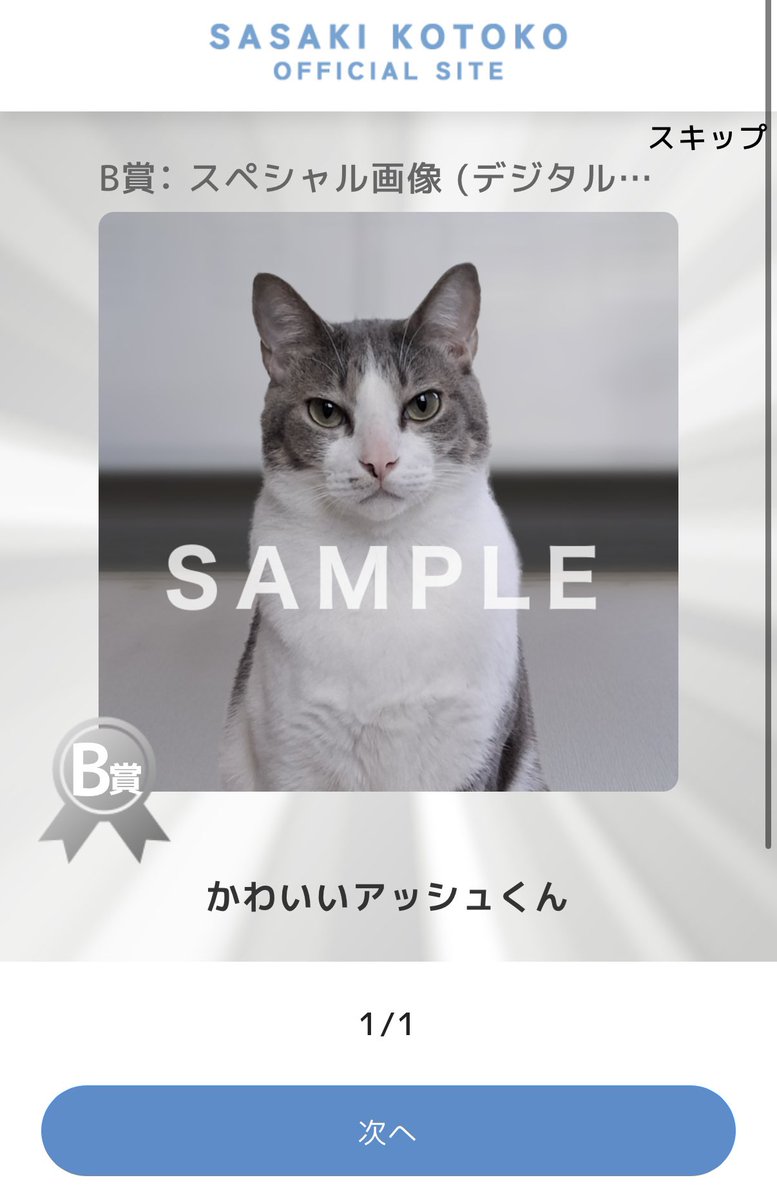 おー🦒🐰🦝 tweet media